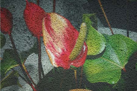 JKW_3252 modified flower