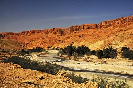 JKW_3582 river polution