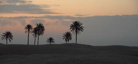 JKW_3621 shara desert at dawn