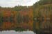 jkw_1936 haliburton fall leaves