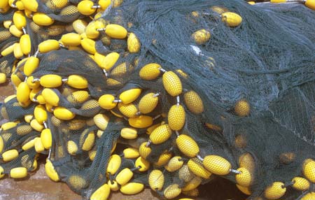 JKW_3945-1 fish nets