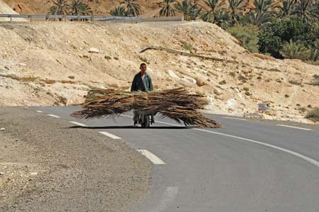 JKW_3531 man with load of thatch