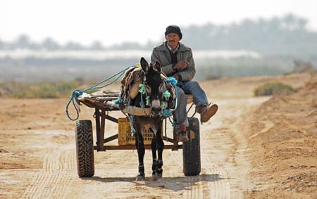 JKW_3632 man on donkey cart