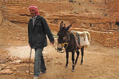 JKW_3708 donkey loaded with rocks at construction site