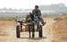 JKW_3632 man on donkey cart